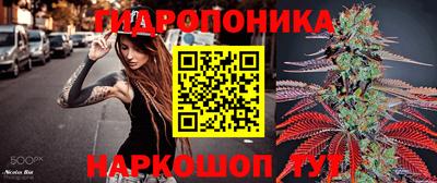 apvp Рыбинск