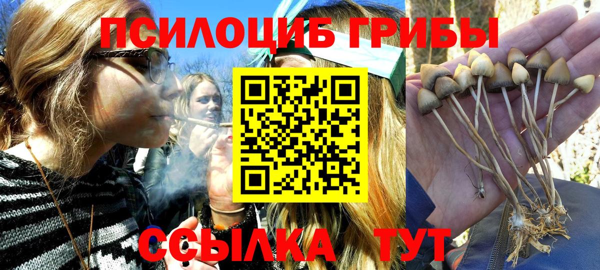 Псилоцибиновые грибы прущие грибы Орск